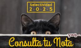 Consultar nota selectividad 2025