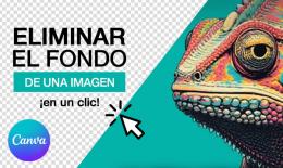 Eliminar fondo de una imagen con Canva