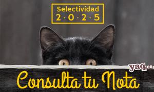 Consultar nota selectividad 2025