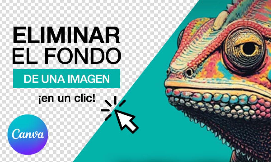 Eliminar fondo de una imagen con Canva