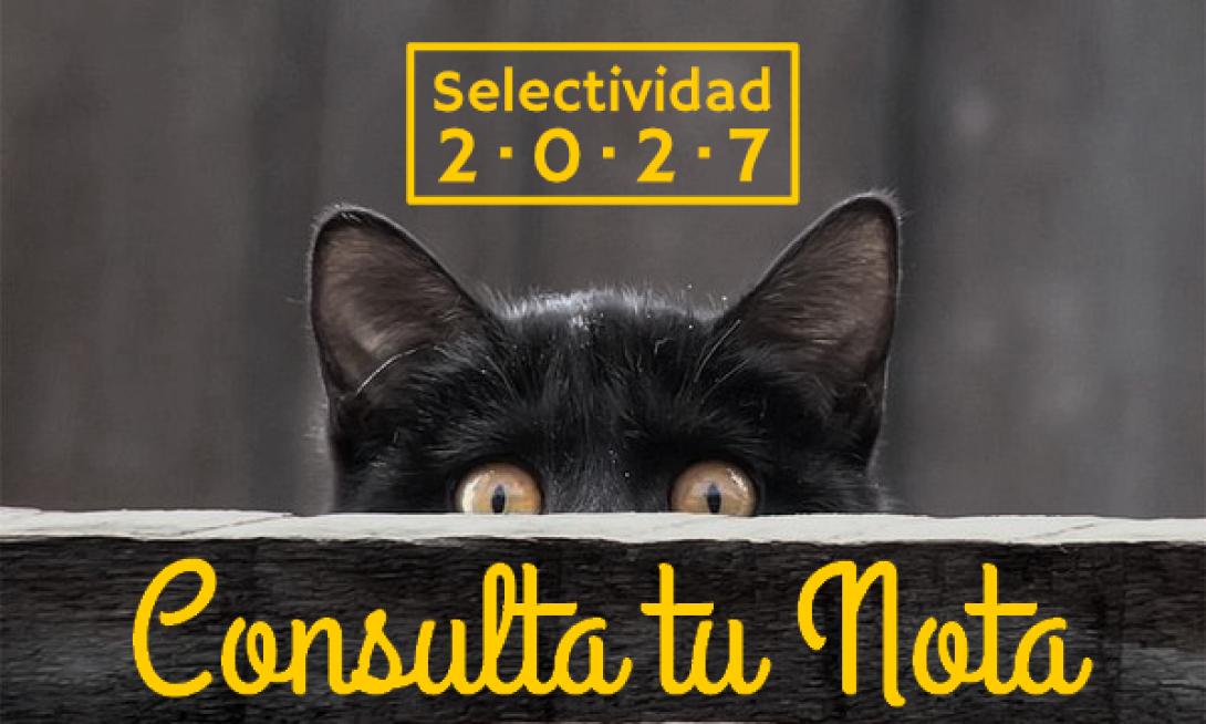 Consulta tu nota de selectividad 2027