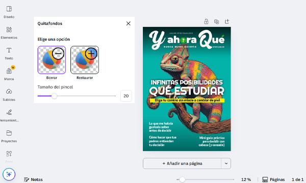 Herramienta para quitar el fondo en imágenes con Canva