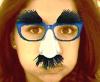 Profile picture for user BelDoGo
