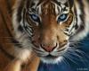 Andrea_MZU