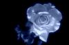 Profile picture for user InesDiaz