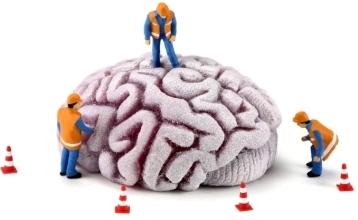 Cerebro-obreros.jpg
